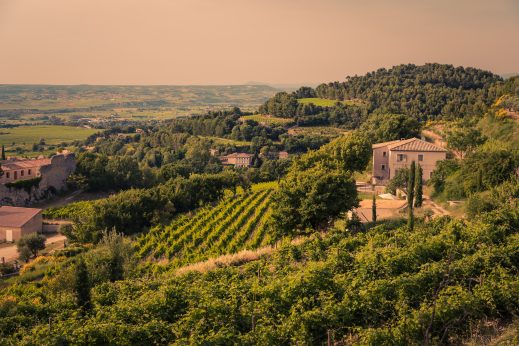 Clos Derrière Vieille - Gigondas