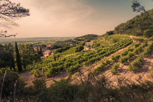 Clos Derrière Vieille - Gigondas